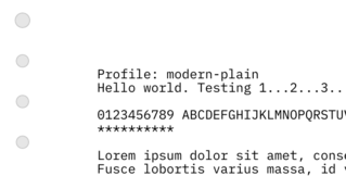 modern-plain profile sample