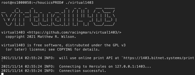 Command window showing virtual1403 agent starting